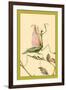 The Praying Mantis-Edward Detmold-Framed Art Print