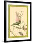 The Praying Mantis-Edward Detmold-Framed Art Print