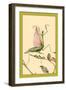 The Praying Mantis-Edward Detmold-Framed Art Print