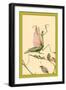 The Praying Mantis-Edward Detmold-Framed Art Print