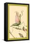 The Praying Mantis-Edward Detmold-Framed Stretched Canvas