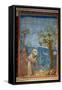 The Preaching To the Birds-Giotto di Bondone-Framed Stretched Canvas