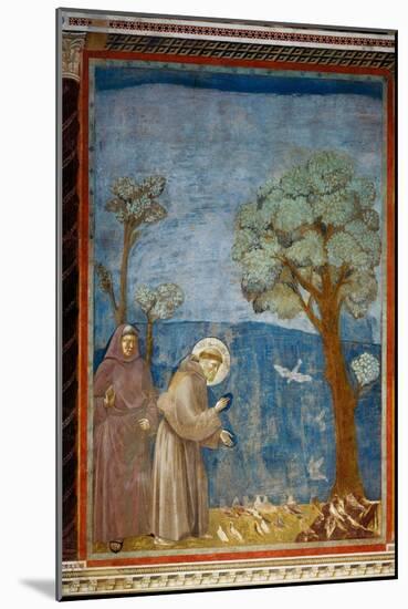 The Preaching To the Birds-Giotto di Bondone-Mounted Giclee Print