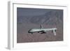 The Predator Drone Carrying Hellfire Missiles in Flight, Dec. 16, 2008-null-Framed Photo