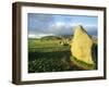 The Prehistoric Castlerigg Stone Circle, Keswick, Lake District, Cumbria, England, UK-Neale Clarke-Framed Photographic Print