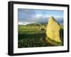 The Prehistoric Castlerigg Stone Circle, Keswick, Lake District, Cumbria, England, UK-Neale Clarke-Framed Photographic Print