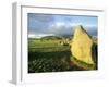 The Prehistoric Castlerigg Stone Circle, Keswick, Lake District, Cumbria, England, UK-Neale Clarke-Framed Photographic Print