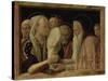 The Presentation in the Temple, about 1465/66-Andrea Mantegna-Stretched Canvas