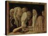 The Presentation in the Temple, about 1465/66-Andrea Mantegna-Stretched Canvas