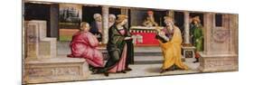 The Presentation in the Temple, C.1510-Pietro Perugino-Mounted Giclee Print