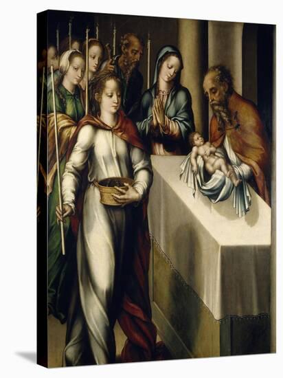 The Presentation of Jesus at the Temple, 1560-1568-Luis De Morales-Stretched Canvas