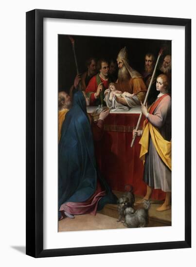 The Presentation of Jesus at the Temple-Camillo Procaccini-Framed Giclee Print