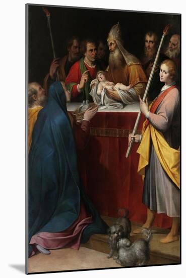 The Presentation of Jesus at the Temple-Camillo Procaccini-Mounted Giclee Print