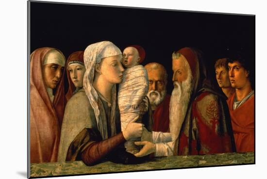 The Presentation of Jesus in the Temple-Giovanni Bellini-Mounted Giclee Print