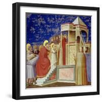 The Presentation of the Virgin at the Temple, circa 1305-Giotto di Bondone-Framed Giclee Print