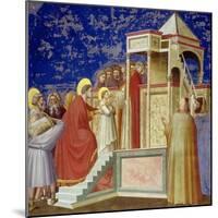 The Presentation of the Virgin at the Temple, circa 1305-Giotto di Bondone-Mounted Giclee Print