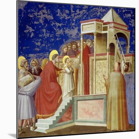 The Presentation of the Virgin at the Temple, circa 1305-Giotto di Bondone-Mounted Giclee Print