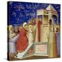 The Presentation of the Virgin at the Temple, circa 1305-Giotto di Bondone-Stretched Canvas