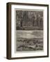 The Preservation of the New Forest-null-Framed Giclee Print