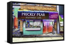 The Prickly Pear-Tom Kelly-Framed Stretched Canvas