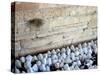 The Priestly Blessing Ceremony By the Western Wall at Succot, Old City, Jerusalem, Israel-null-Stretched Canvas