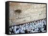 The Priestly Blessing Ceremony By the Western Wall at Succot, Old City, Jerusalem, Israel-null-Framed Stretched Canvas