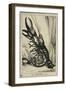 The Prime Lobster, 1828-William Heath-Framed Giclee Print