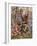 The Primrose Gatherers (Oil on Canvas)-Edward Atkinson Hornel-Framed Giclee Print