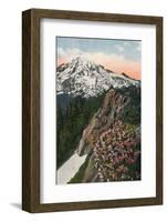 'The Primrose on Mount Rainier', c1916-Asahel Curtis-Framed Photographic Print