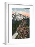 'The Primrose on Mount Rainier', c1916-Asahel Curtis-Framed Photographic Print