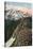 'The Primrose on Mount Rainier', c1916-Asahel Curtis-Stretched Canvas
