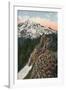 'The Primrose on Mount Rainier', c1916-Asahel Curtis-Framed Photographic Print