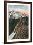 'The Primrose on Mount Rainier', c1916-Asahel Curtis-Framed Photographic Print