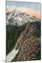 'The Primrose on Mount Rainier', c1916-Asahel Curtis-Mounted Photographic Print