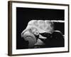 The Prince and the Showgirl, 1957-null-Framed Photographic Print