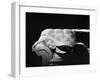 The Prince and the Showgirl, 1957-null-Framed Photographic Print