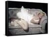 The Prince and the Shwogirl 1957 Directed by Laurence Olivier Marilyn Monroe-null-Framed Stretched Canvas