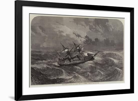 The Prince Consort in a Gale-null-Framed Premium Giclee Print