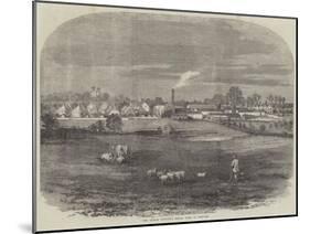 The Prince Consort's Model Farm at Osborne-null-Mounted Giclee Print