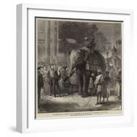 The Prince Giving Sugar-Cane to the Elephants at the Rehearsal of the Perahara, Kandy, Ceylon-null-Framed Giclee Print