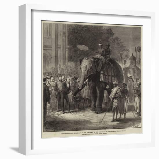 The Prince Giving Sugar-Cane to the Elephants at the Rehearsal of the Perahara, Kandy, Ceylon-null-Framed Giclee Print