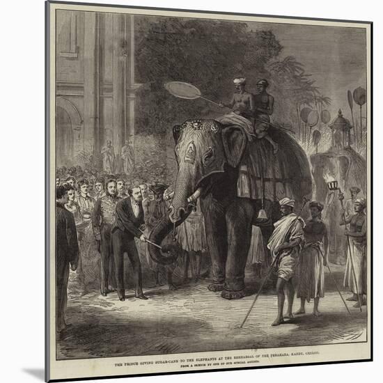 The Prince Giving Sugar-Cane to the Elephants at the Rehearsal of the Perahara, Kandy, Ceylon-null-Mounted Giclee Print