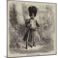 The Prince Imperial of France-Jean Adolphe Beauce-Mounted Giclee Print