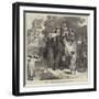 The Prince of Wales at Parbutty Hill, Poonah, His First Elephant Ride-null-Framed Giclee Print