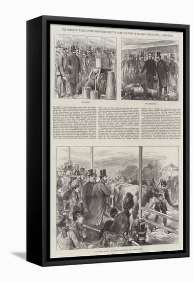 The Prince of Wales at the Dorchester Meeting, Bath and West of England Agricultural Association-null-Framed Stretched Canvas