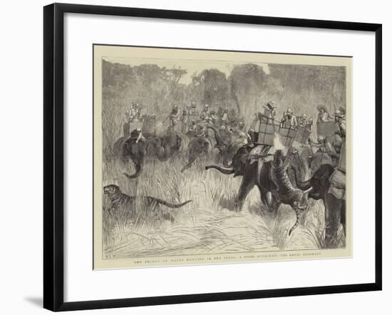 The Prince of Wales Hunting in the Terai, a Tiger Attacking the Royal Elephant-Samuel Edmund Waller-Framed Giclee Print