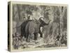 The Prince of Wales Hunting in the Terai, Binding a Wild Elephant-null-Stretched Canvas