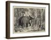 The Prince of Wales Hunting in the Terai, Binding a Wild Elephant-null-Framed Giclee Print