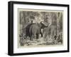 The Prince of Wales Hunting in the Terai, Binding a Wild Elephant-null-Framed Giclee Print