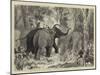 The Prince of Wales Hunting in the Terai, Binding a Wild Elephant-null-Mounted Giclee Print